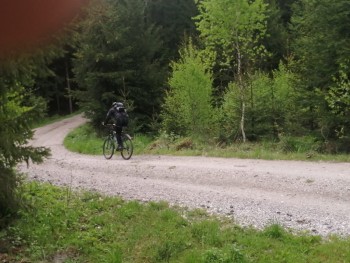 ef7d4ab5 2d41 43ae b0bf ecb4756f2390