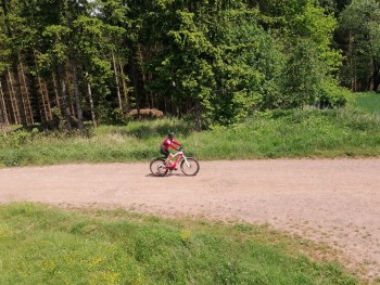 IMG 20230527 113024 edit 149694440616220 resize